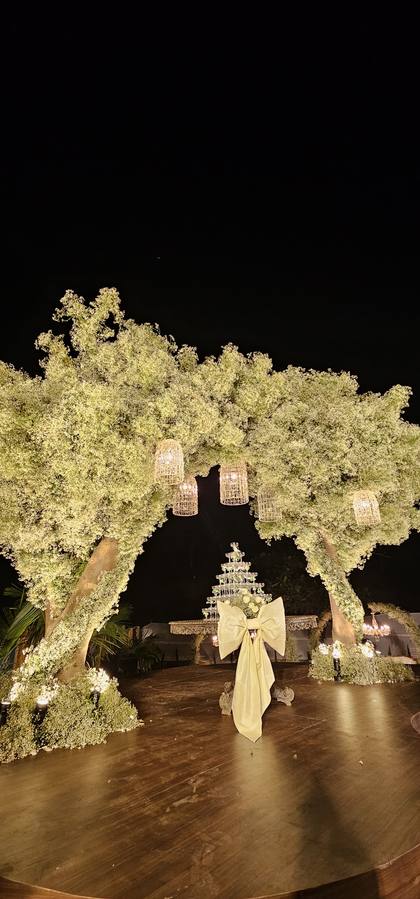 Gate / Entrance and Photo-op — Reception decor — Casa Waters